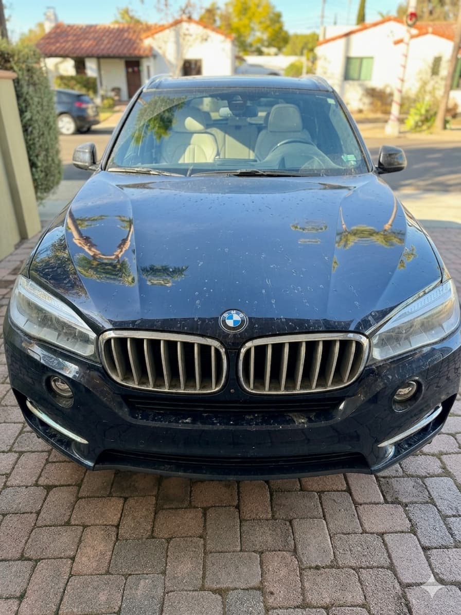 BMW after detailing